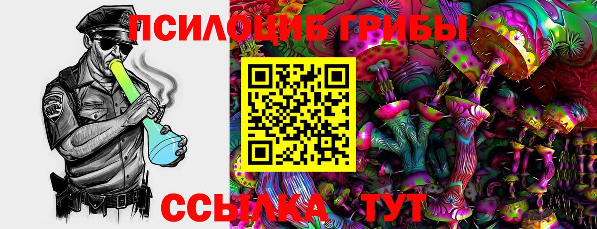Галлюциногенные грибы мухоморы Кандалакша