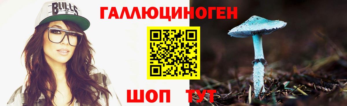 Галлюциногенные грибы мухоморы  Псилоцибиновые грибы ЛСД  Вход с VPN  Кандалакша 