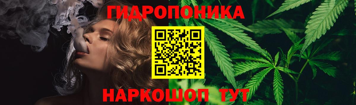 Кандалакша  Шишки марихуана конопля  Вход с VPN  Бошки Шишки White Widow 